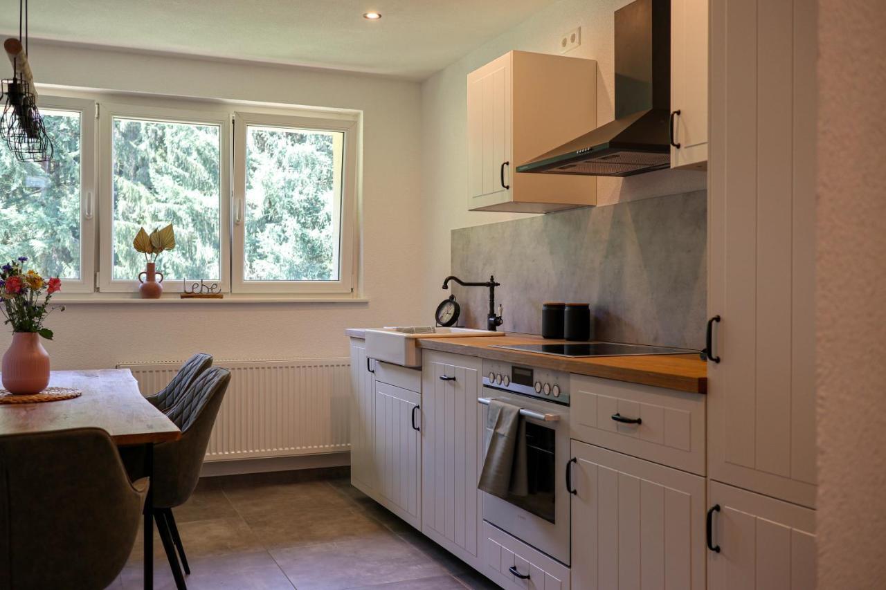 Ferienwohnung Holiswald Oppenau Kültér fotó